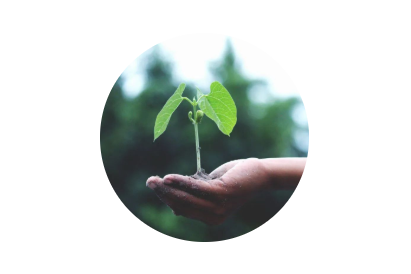520·健康植保日丨擁抱綠色農(nóng)業(yè)，暢享健康生活