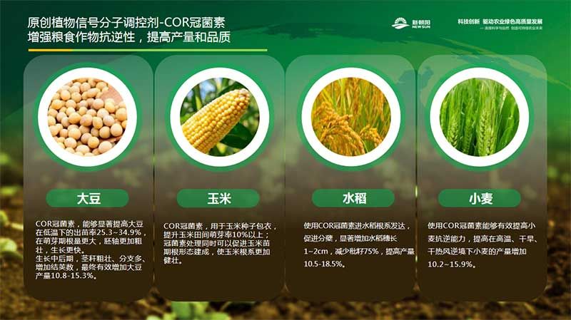 生物科技 賦能農(nóng)業(yè)穩(wěn)產(chǎn)保供——第十屆植物生長(zhǎng)調(diào)節(jié)劑發(fā)展與應(yīng)用交流會(huì)在四川眉山召開