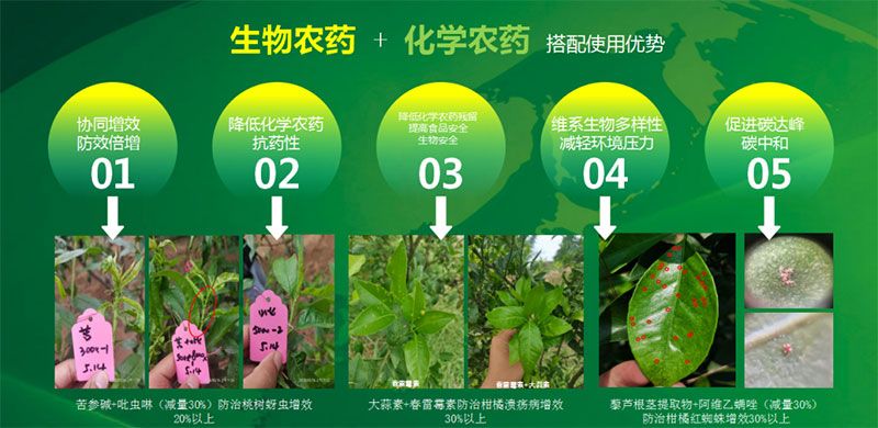 新朝陽在第六屆中國農(nóng)藥行業(yè)市場(chǎng)和銷售高峰論壇做“生物農(nóng)藥+化學(xué)農(nóng)藥，引領(lǐng)植保市場(chǎng)未來”主題報(bào)告